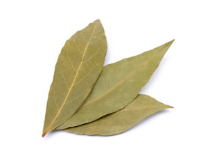 Usine épices fournisseur turc juste moyenne qualité feuilles de laurier 25kg balle naturel séché feuille de laurier herbe épice pour l'industrie alimentaire - Product Image 6