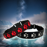 Collier pour animaux de compagnie en nylon lumineux à LED rechargeable par USB, motifs de dessins animés, rubans, haute visibilité, réglable, sécurité nocturne, confort