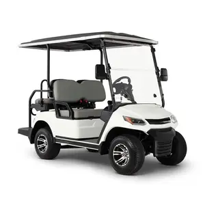 Tong Cai Best Price New Exclusive Factory 2 Seater Tourist Bus Club Car Electric Golf Cart Hunting Car