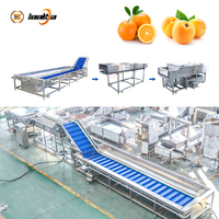 CE-gecertificeerde fruitwas- en sorteermachine, avocado borstelrolreinigingsmachine, pomelo fruitreinigings- en polijstlijn