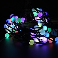 Guirlande lumineuse LED intelligente APP, USB 5V, télécommande, contrôle ponctuel, ampoule boule étanche, fil en cuir, lampe intelligente, décoration de jardin