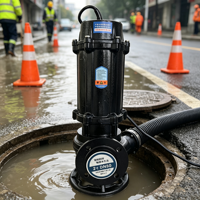 WQ Tauchpumpe für Abwasser, landwirtschaftliche Bewässerungspumpe, Kreiselpumpe, Vakuumpumpe, Kommunale Abwasserpumpe 5PS 10PS