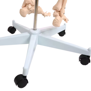 A1001 אנטומיה מודל גוף האדם רפואי מדעי החיים גודל 180 ס "מ שלד מודל להוראת משאבי מודל Halloween קישוט - Product Image 4