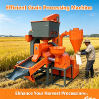 Machine à décortiquer le riz : Ligne complète de pré-nettoyage, décorticage et polissage du paddy, électrique ou diesel en option, pour les marchés d'Afrique et d'Asie du Sud-Est
