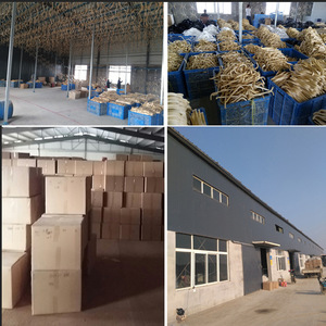 Cintres en bois antidérapants sans trace pour magasins de vêtements, vêtements pour enfants, vente en gros de cintres à manteaux de Jize Hebei - Product Image 1