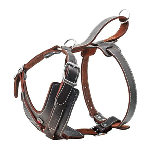 Arnés de Cuero Genuino <span class=keywords><strong>para</strong></span> Perros Medianos y Grandes, <span class=keywords><strong>Chaleco</strong></span> Resistente Antitirones <span class=keywords><strong>para</strong></span> Pastor Alemán, Malamuti, Dóberman - Product Image 2