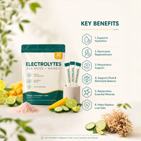Poudre d'électrolytes pour adultes, apportant de l'énergie, améliorant l'immunité, à base d'algues marines, sans sucre, différentes saveurs, 20 sachets, OEM HALAL