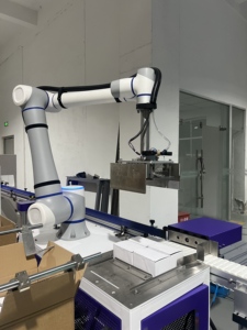Bras robotique collaboratif de palettisation à vitesse d'empilage élevée pour les opérations d'entrepôt automatisées - Product Image 5