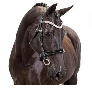 Bridon en cuir pour cheval personnalisable en couleur et logo - Votre propre marque de bridons d'équitation en cuir anatomique de qualité supérieure - Product Image 1