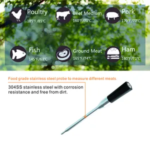 Kitchen Thermometer Wireless Smart Bt Truly Cordless Thermometer Meat Thermometer For Oven Kitchen Candy Smoker With 3-stage Progressive Probe