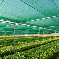 Groene, hoge-dichtheid polyethyleen, UV-bestendig, milieuvriendelijk, winddicht, heavy-duty kas-schaduwnet voor de landbouw