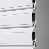 Porte à enroulement électrique robuste en alliage d'aluminium avec fonction antivol |   Porte de sécurité commerciale motorisée