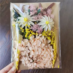 H0513-19 konservierte Blume DIY Pack natürliche getrocknete Blume trockene Pflanze für Aroma therapie Kerze