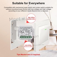 Module de commutation intelligent Zigbee à contact sec, disjoncteur relais DIY pour maison connectée, compatible DC 12-48V AC 100-240V, compatible Alexa Google Home