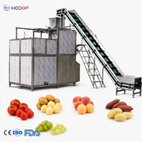Perzik-tomaat-druif-stoomschilmachine voor aardappelschiller, 304 roestvrij staal, hoge efficiëntie