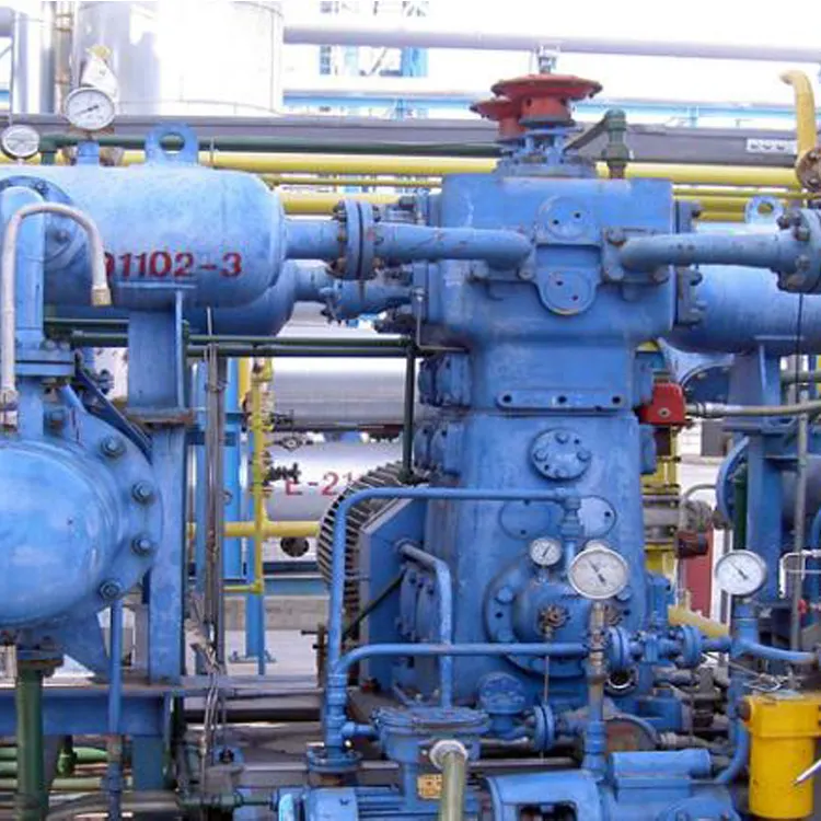 Yüksek basınçlı sanayi fiyat yeni hidrojen kompresörü labirent pistonlu doğal gaz kompresörü