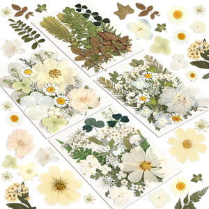 Kit di <span class=keywords><strong>Fiori</strong></span> Naturali Essiccati <span class=keywords><strong>e</strong></span> Pressati Misti, <span class=keywords><strong>Fiori</strong></span> Veri Colorati <span class=keywords><strong>e</strong></span> Piatti per Resina Epossidica, Sottobicchieri, Segnalibri, Custodie per Telefono, Artigianato Fai-da-Te - Product Image 6