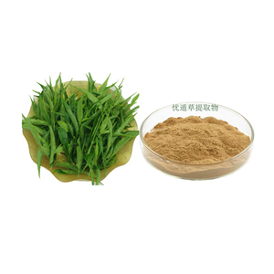 Extracto de Hierba Natural <span class=keywords><strong>Dun</strong></span> Worry en Polvo, Clinacanthus nutans (Burm.f.) Extracto de Lindau 20:1 - Product Image 1