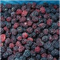 Cinese congelato frutti (congelati fragola, congelati berry,) - Product Image 3