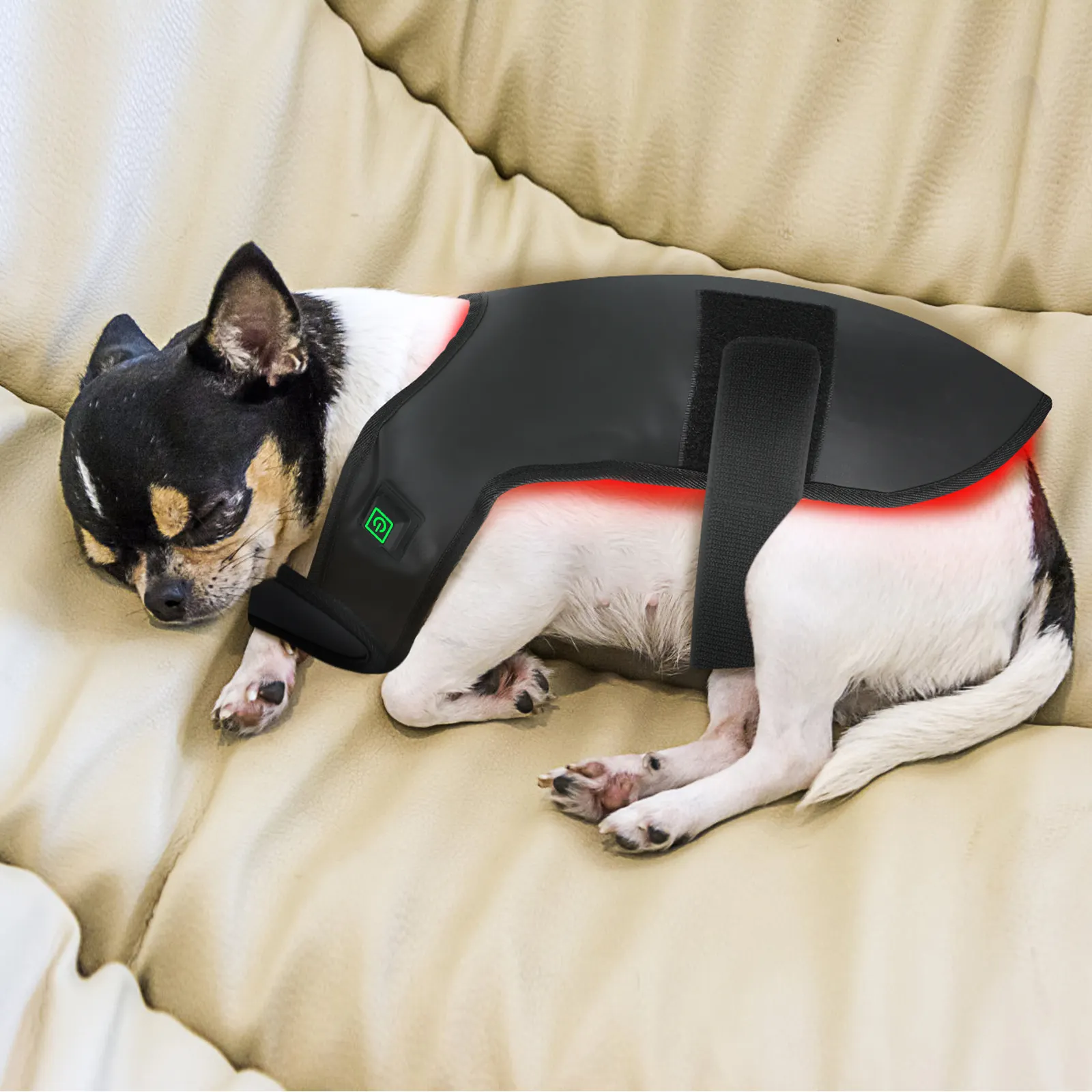 Abrigo de perro 660nm 850nm terapia de luz roja 0 EMF dispositivo de terapia de luz infrarroja para el alivio del dolor de mascotas tratamiento de heridas de artritis