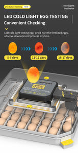 NUEVA Incubadora Automática de Huevos WONEGG con Control de Humedad para 48 Huevos, Mini Incubadora para 50 Huevos - Product Image 5