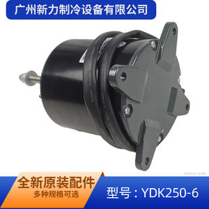 Motor Asíncrono Monofásico Changzhou YDK-250-6 220-240V para Reemplazo de Ventilador Exterior de Aire Acondicionado - Product Image 5