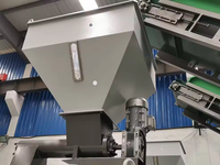 Ligne de granulation et de pelletisation de plastique PP PE HDPE LDPE PET de haute qualité Greenlandplast pour films et flocons