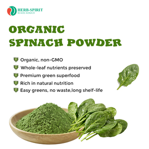 Bubuk Bayam Organik Kering Beku dalam Kemasan Besar/Kantong, Suplemen Bubuk Sayuran, Bersertifikat USDA Non-GMO, Vegan - Product Image 3