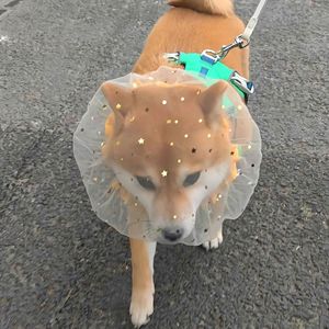 Amor Anti-Eating Mesh Dog Headgear (PE Material) pour petits chiens comme le Teddy et le Bichon, empêche les morsures et l'ingestion/le léchage accidentels - Product Image 4