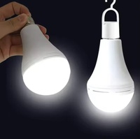 Ampoule LED professionnelle d'usine 15W 2000mAh avec charge Type-C
