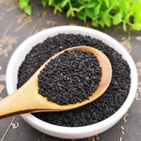 Bubuk ekstrak Nigella Sativa Thymoquinone 5% dikemas dalam Drum