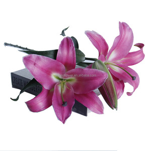 Lys dans <span class=keywords><strong>la</strong></span> Grèce antique : les lys étaient associés à <span class=keywords><strong>la</strong></span> <span class=keywords><strong>déesse</strong></span> Héra et symbolisaient <span class=keywords><strong>la</strong></span> pureté et <span class=keywords><strong>la</strong></span> <span class=keywords><strong>maternité</strong></span>. Couleurs vives. Durables. - Product Image 5