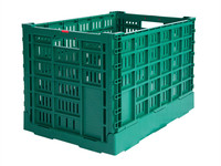 Caisse en plastique pour fruits et légumes Caisses en plastique réutilisables Panier à provisions pour fruits en plastique pliable Caisse pliable