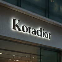 Tapis de brosse 3D Kelly rétro-éclairé LedLetter mur métal extérieur acrylique signalisation intérieure logo personnalisé enseigne lumineuse LED pour les entreprises