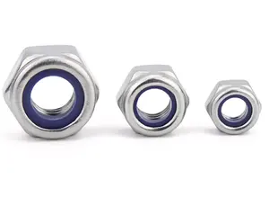 Chinese Fastener Manufacturer Wholesale Stainless Steel 304 316 Hexagon Nylon Lock Nuts For Machine Screws Nuts DIN982