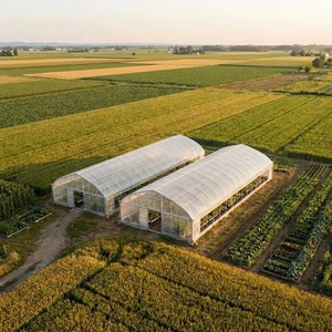 Estructuras de Invernadero Comerciales Multi-Span de Lona Tipo Turnkey para Venta - Product Image 5