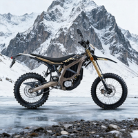 Moto électrique Surron Ultra Bee HP X, édition Enduro Premium