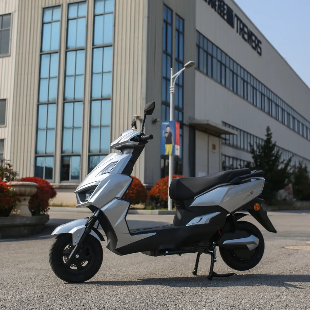 Fabrik-Direkt kundenspezifische Farbe Mode Erwachsenen-Elektro-Motorrad heißes China-Modell zu einem guten Preis