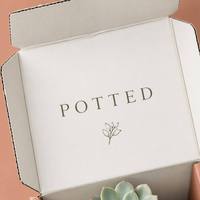 Boîte d'expédition personnalisée en carton ondulé Kraft avec impression de logo, emballage intérieur avec insert pour coffret cadeau de plantes succulentes, vente en gros directe usine