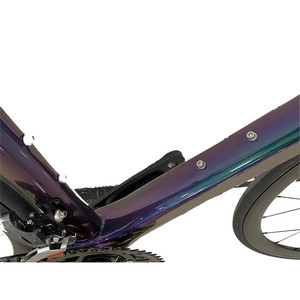Bicicleta de Carretera de Carbono, 21 Velocidades, Frenos de Disco, Cuadro con Suspensión en la Horquilla - Product Image 2
