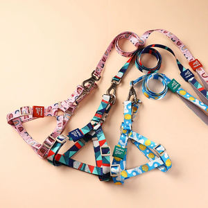 Benutzer definiertes Logo Luxus Hunde geschirr Set Pet Walk Kit Wasserdichtes Polyester Solid Pattern Verstellbares Halsband mit weicher Leine - Product Image 1