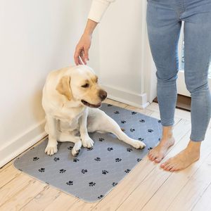 Wasbare Herbruikbare Puppypads Absorberend Zindelijkheidstraining Huisdiermatten Met Bedrukt Patroon Waterdicht Hondenplasbed Voor Zindelijkheidstraining - Product Image 6