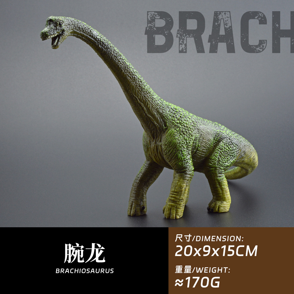 Brachiosaure solide de 20 cm environ 170 g