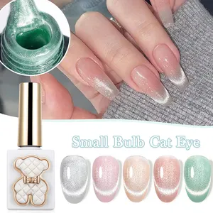 ZRKGEL professional nail supplier 15 colors 15ML UV/LED magnetic highpigment easy brush on free sample LOW MOQ cat eye gel set