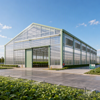 Bâtiment métallique durable pour serre commerciale et usage agricole, structure en acier préfabriquée, hangar haute résistance