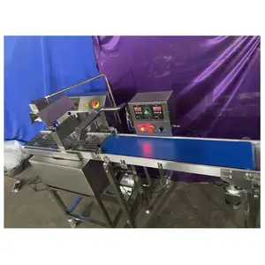 Machine d'enrobage de coquille de chocolat de haute qualité avec Tunnel de refroidissement, Machine d'enrobage de chocolat, ligne de noix à vendre