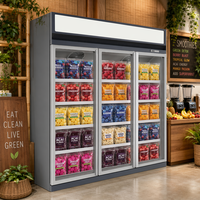 Congélateur vertical vitré 3 portes, vitrine commerciale pour aliments surgelés, éclairage LED, contrôle numérique, congélation rapide