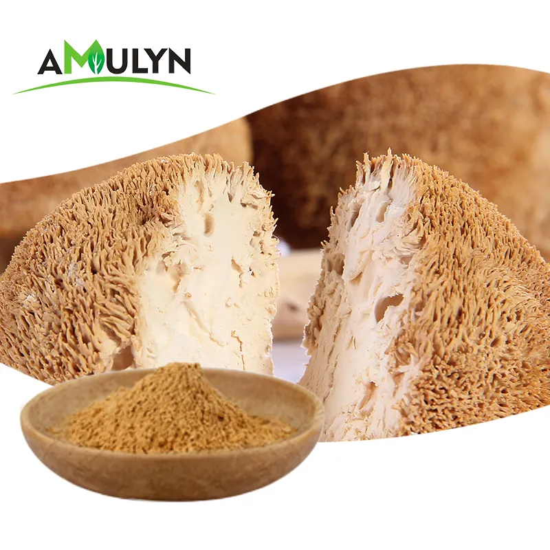 Lion's mane mushroom powder extract 3% hericenones from Mycelium