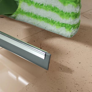 <span class=keywords><strong>Limpiacristales</strong></span> Telescópico para el Hogar con Cabezal Giratorio, Mango de Acero Inoxidable Ecológico, Limpiador de Vidrios 2 en 1, Raspador de Largo Alcance - Product Image 6