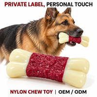 Jouet pour chien en nylon solide ODM, résistant, en forme d'os, texturé, pour mâcher, pour chiens agressifs, pour races de chiens Husky Sibérien